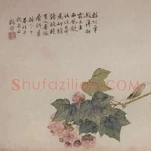 清代 张嘉谟《花卉草丛图册》国画花鸟作品图片赏析