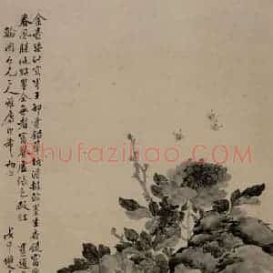 清代 张崇光《牡丹碟石图轴》国画花鸟作品图片赏析