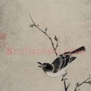 清代 张穆《翎毛珍兽图册》国画花鸟作品图片赏析