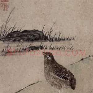 清代 张穆《翎毛珍兽图册》国画花鸟作品图片赏析