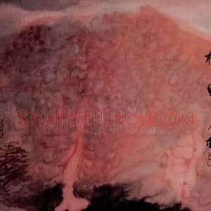 2003年 冯今松《橘子红了》国画花鸟作品图片赏析