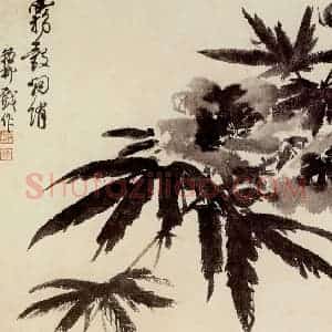 谢稚柳《水墨花卉》国画花鸟作品图片赏析