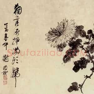 谢稚柳《水墨花卉》国画花鸟作品图片赏析