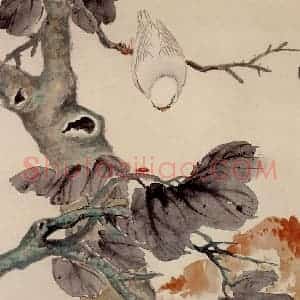 江寒汀《花鸟四屏》国画花鸟作品图片赏析