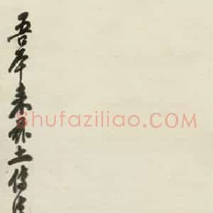 王霞《达摩》国画人物作品图片赏析