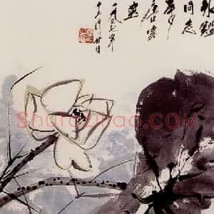 唐云《荷花游鱼》国画花鸟作品图片赏析