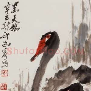 许鸿宾《黑天鹅》国画花鸟作品图片赏析