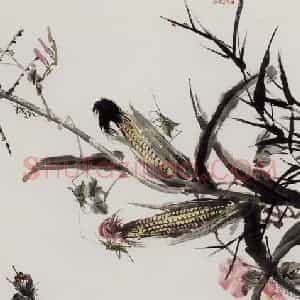 许鸿宾《草虫玉米》国画花鸟作品图片赏析