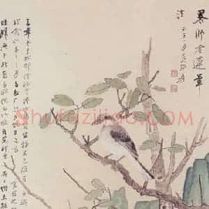 近现代 张大千《伯劳木石图轴》国画花鸟作品图片赏析