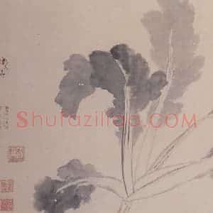明代 沈周《观物之生图册(十二帧)》国画花鸟作品图片赏析