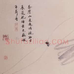 明代 沈周《观物之生图册》国画花鸟作品图片赏析