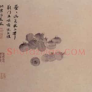 明代 沈周《观物之生图册》国画花鸟作品图片赏析