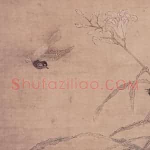 明代 无款《双鸟图页》国画花鸟作品图片赏析