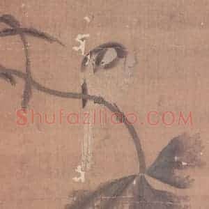 宋代 无款《花鸟草虫册》国画花鸟作品图片赏析