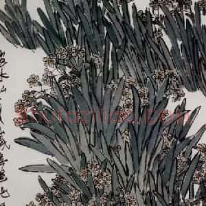 约20年代初期 齐白石《水仙》国画花鸟作品图片赏析