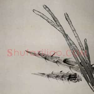 约20年代初期 齐白石《笋》国画花鸟作品图片赏析