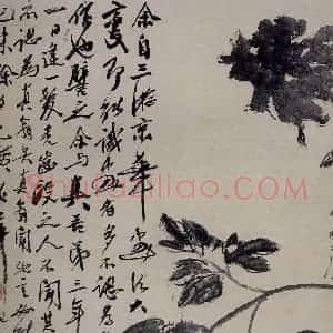 1920年 齐白石《墨牡丹》国画花鸟作品图片赏析