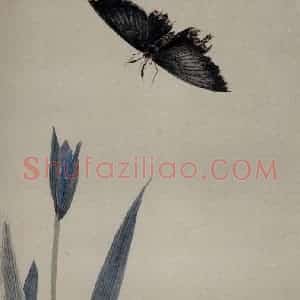 1920年 齐白石《草虫册页》国画花鸟作品图片赏析