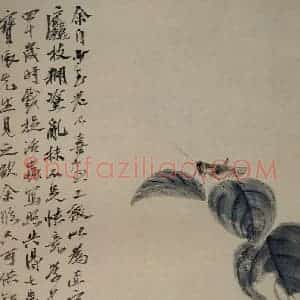 1920年 齐白石《草虫册页》国画花鸟作品图片赏析