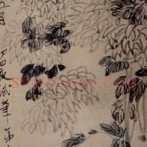 约1920年 齐白石《菊花》国画花鸟作品图片赏析