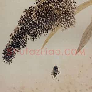 1921年 齐白石《广豳风图册》国画花鸟作品图片赏析