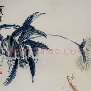 1948年 齐白石《花卉草虫册页》国画花鸟作品图片赏析