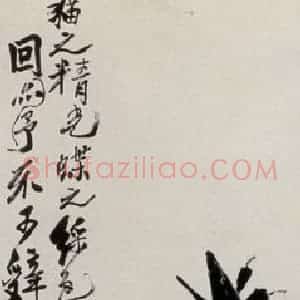 齐白石《猫蝶图》国画花鸟作品图片赏析