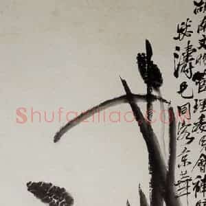 齐白石《蛙戏》国画花鸟作品图片赏析