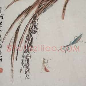 齐白石《虫草杂画册》国画花鸟作品图片赏析