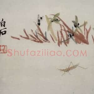 齐白石《虫草杂画册》国画花鸟作品图片赏析