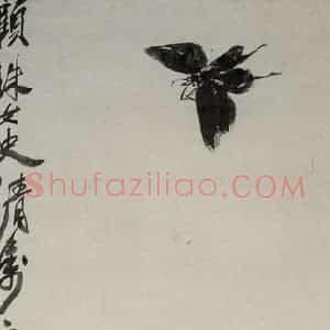 1951年 齐白石《牡丹》国画花鸟作品图片赏析