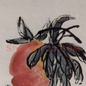 1951年 齐白石《多寿》国画花鸟作品图片赏析