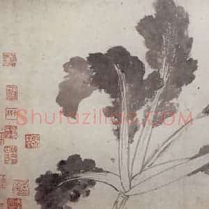 明代 沈周《墨菜辛夷图卷》国画花鸟作品图片赏析