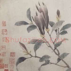 明代 沈周《墨菜辛夷图卷》国画花鸟作品图片赏析