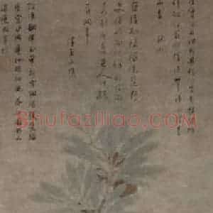 明代 沈周《荔枝苍鹅图轴》国画花鸟作品图片赏析