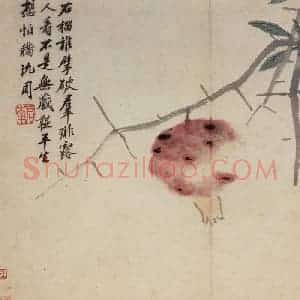 明代 沈周《卧游图册》国画花鸟作品图片赏析