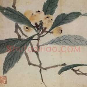 明代 沈周《卧游图册》国画花鸟作品图片赏析
