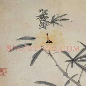 明代 沈周《卧游图册》国画花鸟作品图片赏析