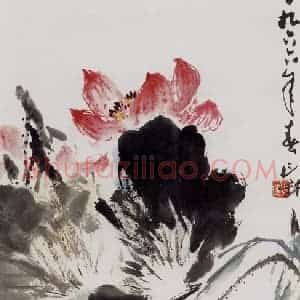 1966年 萧朗《金鱼荷花图》国画花鸟写意作品图片赏析