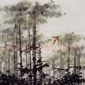 1971年 萧朗《杉林飞雉》国画花鸟写意作品图片赏析