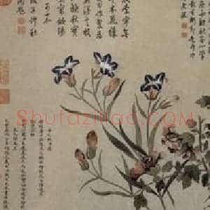 清代 钱维城《九秋图卷》国画花鸟作品图片赏析