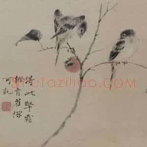 清代 华岩《幽禽图页》国画花鸟作品图片赏析