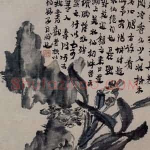 清代 金农《水仙秀石图页》国画花鸟作品图片赏析