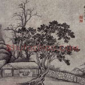 清代 黄鼎《柏堂图页》国画山水作品图片赏析