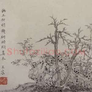 清代 王宸《枯树竹石图页》国画山水作品图片赏析