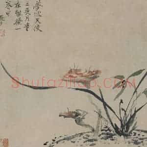 清代 罗聘《灵芝兰花图页》国画花鸟作品图片赏析