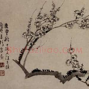 清代 汪士慎《梅花图页》国画花鸟作品图片赏析