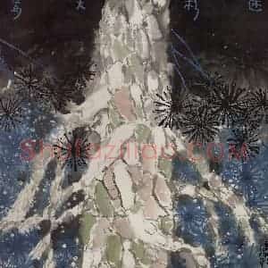 2005年 赵梅生《迷彩天姿》国画花鸟写意作品图片赏析