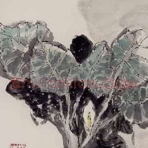 2002年 赵梅生《滴水玉观音》国画花鸟写意作品图片赏析