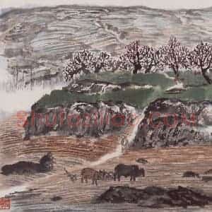 1958年 赵望云《渭北之春》国画山水作品图片赏析
